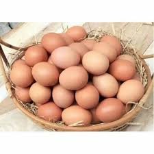 Fresh Eggs SUB PLAN